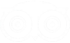 tripadvisor